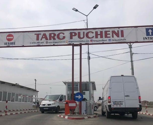 TARG DE LEGUME, FRUCTE SI FLORI - Gastronomie și ospitalitate