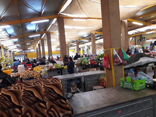 Aleea Hortensiei 21, Craiova