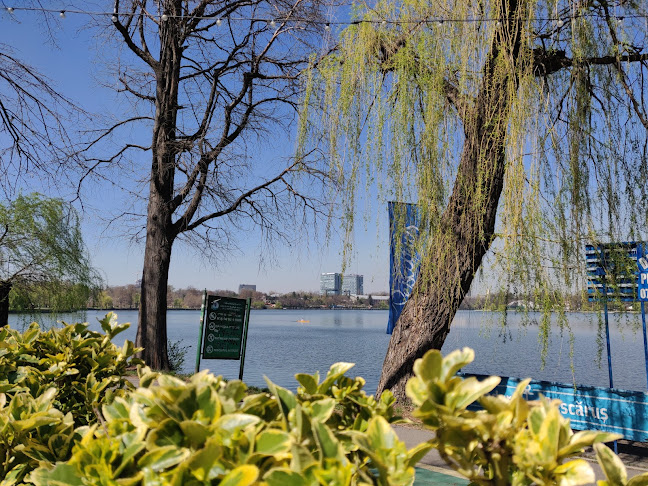 Comentarii opinii despre Restaurant Pescăruș