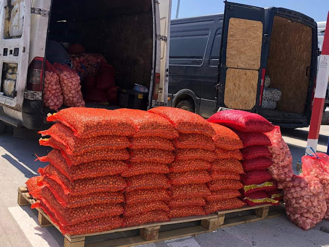 TARG DE LEGUME, FRUCTE SI FLORI - Gastronomie și ospitalitate