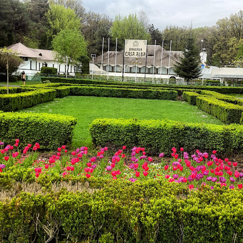 Restaurant „Casa Albă“ - Gastronomie și ospitalitate