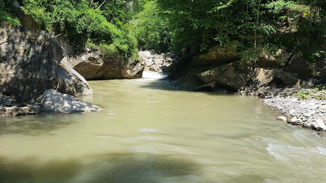 Comentarii opinii despre Grădina Mare