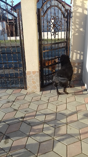 Restaurant Aurora - Suraia