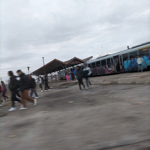 Piaţa Peco - Alexandria