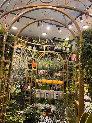 Opinii despre Piața Agroalimentară Zorilor în Cluj-Napoca - Gastronomie și ospitalitate