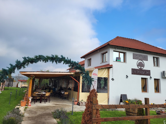 Comentarii opinii despre Popas "La Padure"