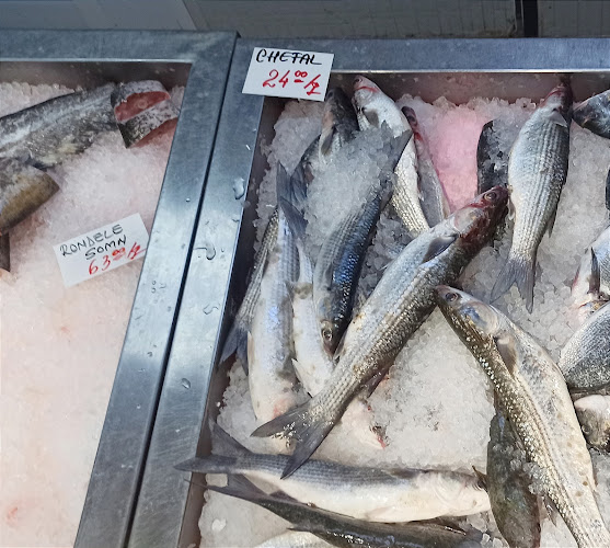 Pescarie - București