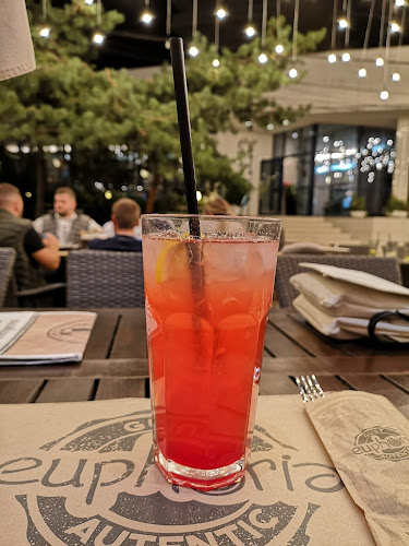 Euphoria Biergarten Arad - Gastronomie și ospitalitate
