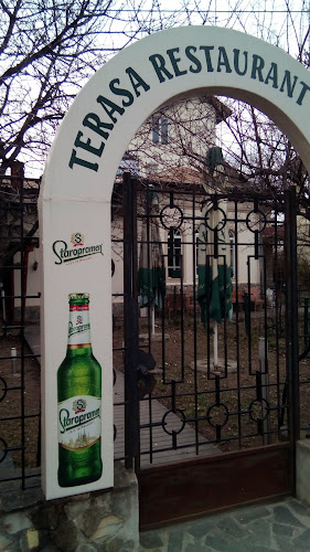 Terasa Restaurant Rustic - Gastronomie și ospitalitate