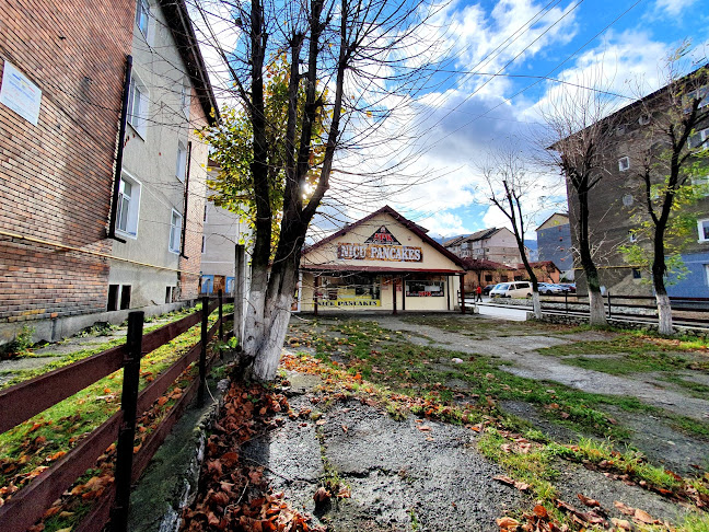 Nicu Pancakes - Gastronomie și ospitalitate