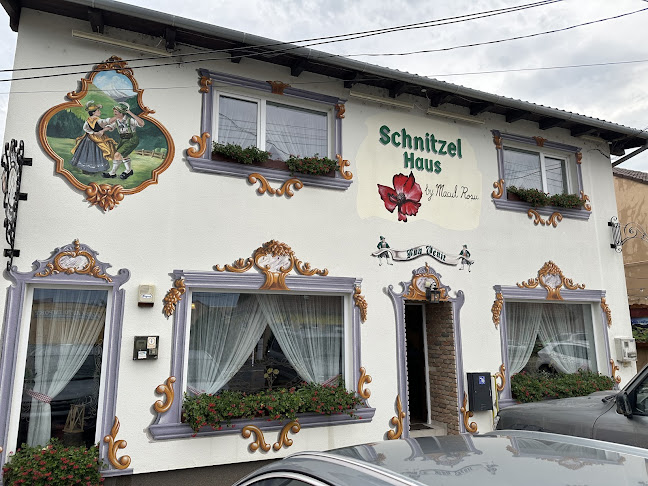 Strada Petru Rareș 76, Arad 310210