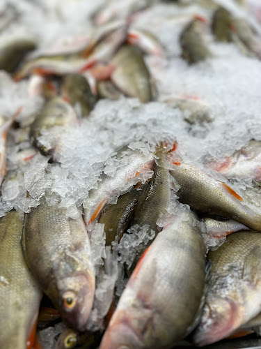 Strada Jupiter 1, Brașov 500360