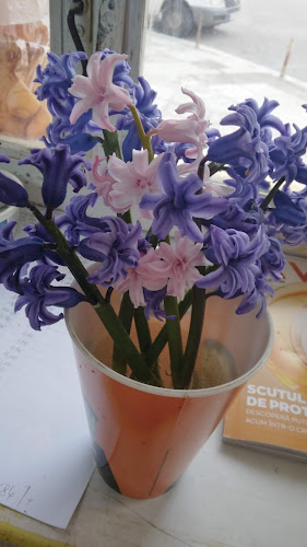 Piaţa Agroalimentară Măcin