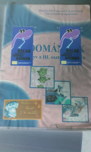 Opinii despre Mobiladivert - Belona Bistrita în Bistrița - Gastronomie și ospitalitate