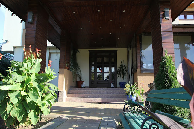 Soseaua Bucuresti Urziceni, Km 18+400, Afumați 925300