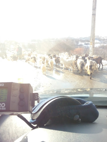 Opinii despre Fosta Brutărie în Ghelari - Gastronomie și ospitalitate