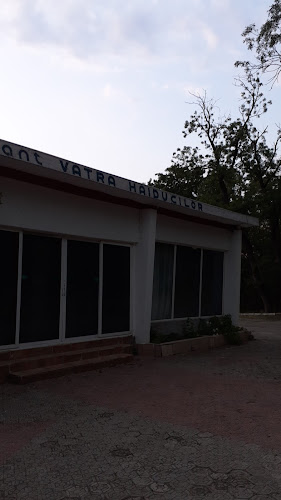 Opinii despre Vatra Haiducilor în Drobeta-Turnu Severin - Gastronomie și ospitalitate