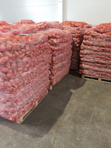 Opinii despre Depozit legume și fructe în Brașov - Gastronomie și ospitalitate