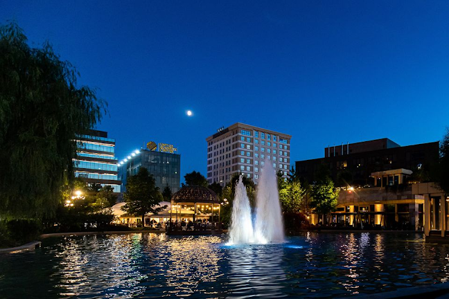 Fenice Palas Iași - Iași