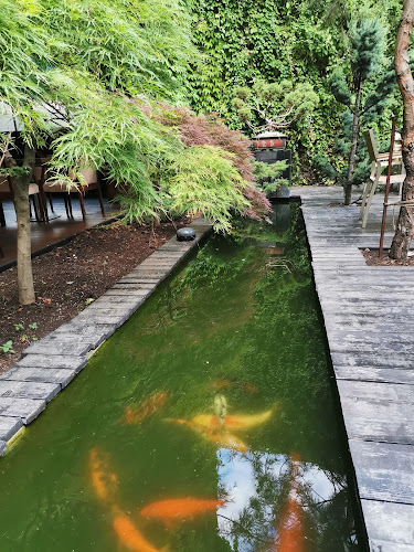 Opinii despre Zenti Plaza Hotel în Drobeta-Turnu Severin - Gastronomie și ospitalitate