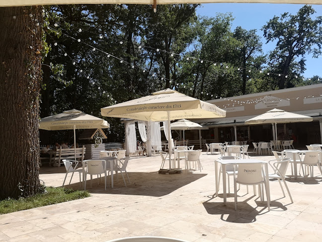 La Pădurea Verde - Timișoara