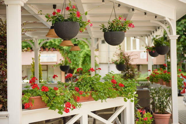 Strada Carol I 8, Râmnicu Vâlcea 240174