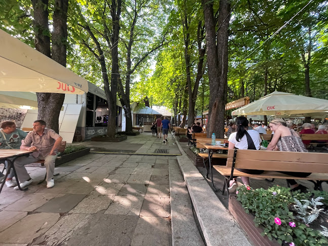 Casa Vânătorului - Gastronomie și ospitalitate