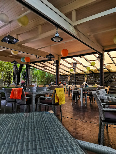 Restaurant & Pizzerie Aroma Copou - Gastronomie și ospitalitate