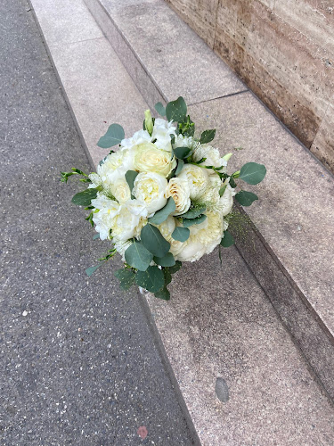 MaJolie - Gastronomie și ospitalitate