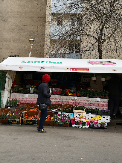 Piaţa Drumul Taberei 2