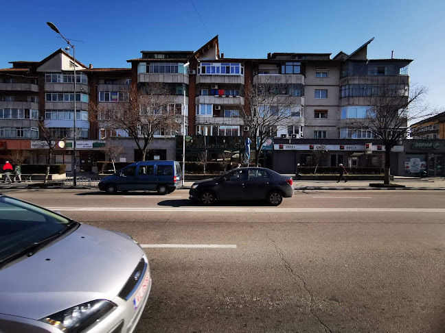 RESTAURANT SUD - Râmnicu Vâlcea