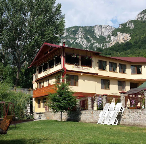 Pensiunea Cuibul Viselor- La Johnny - Băile Herculane