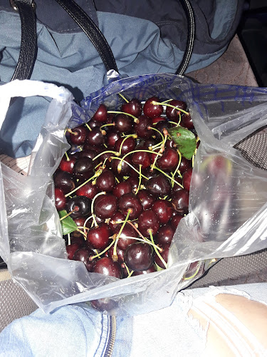 Restaurant- Motel Popasul Dintre vii - Gastronomie și ospitalitate