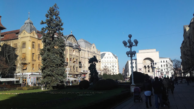 Piața Victoriei 2, Timișoara