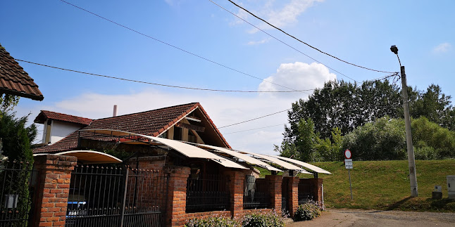 Fântâna Cu Bere - Satu Mare