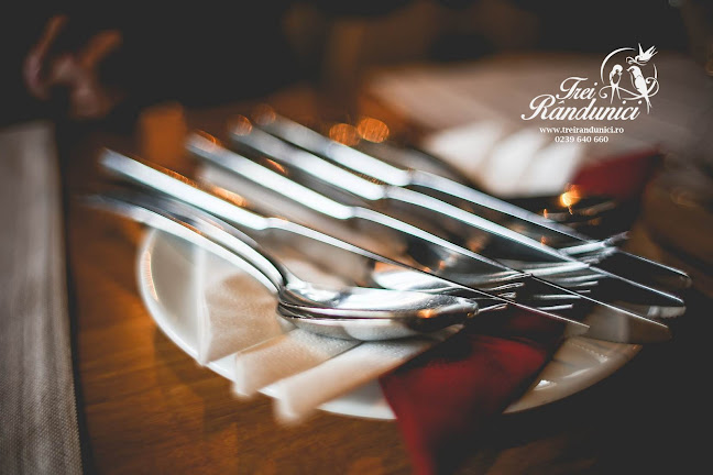 Opinii despre Trei Rândunici în Brăila - Gastronomie și ospitalitate