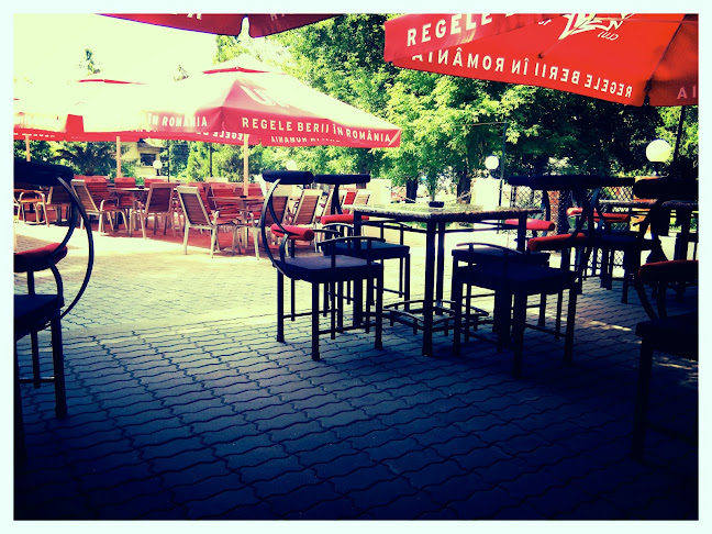 Strada Corneliu Coposu 109, Craiova 200341