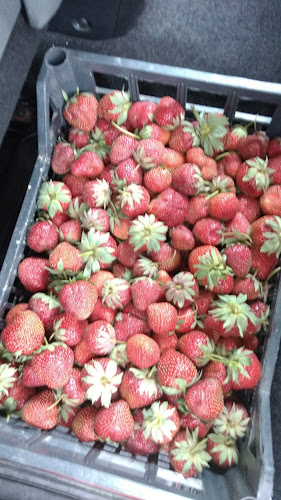 Piață fructe și legume - Hotarele