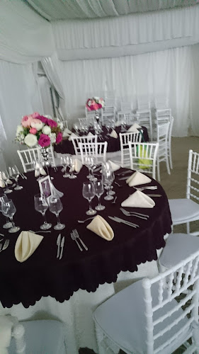 Comentarii opinii despre Papillon Elite