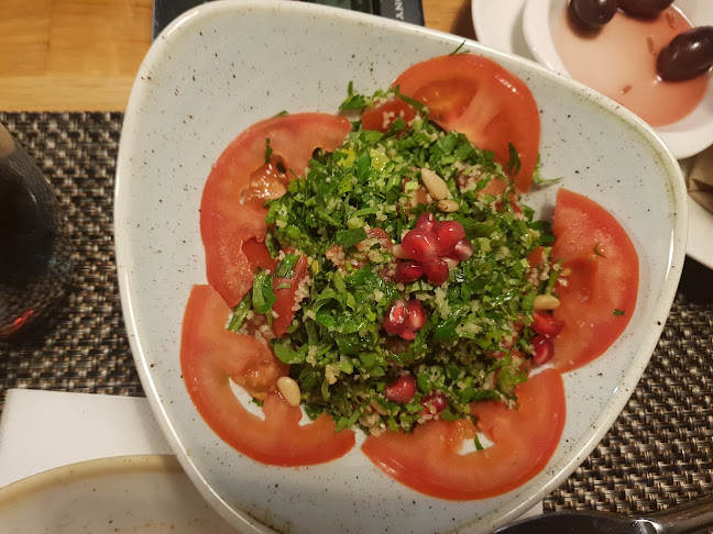 Comentarii opinii despre Sharkia