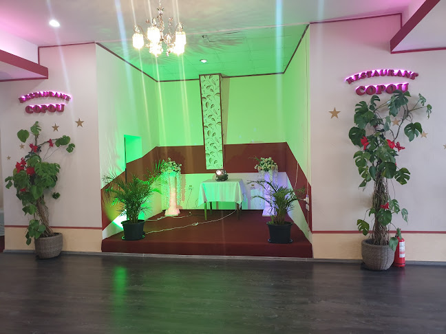 Restaurant Copou - Gastronomie și ospitalitate