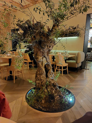 Samsara Foodhouse - Cluj-Napoca