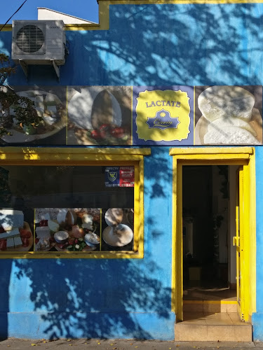 Corvin Produse Lactate