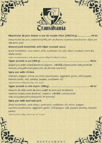 Restaurant Transilvania Brașov - Gastronomie și ospitalitate