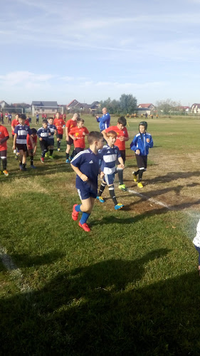 Opinii despre Întreprindere Montaj Instalații în Baia Mare - Gastronomie și ospitalitate