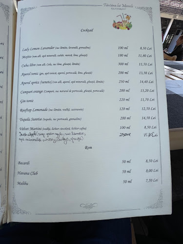 Restaurant Fantana lui Manole - Gastronomie și ospitalitate