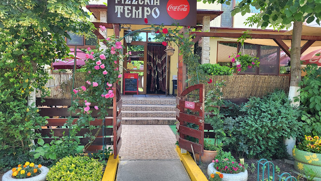 PIZZERIA TEMPO
