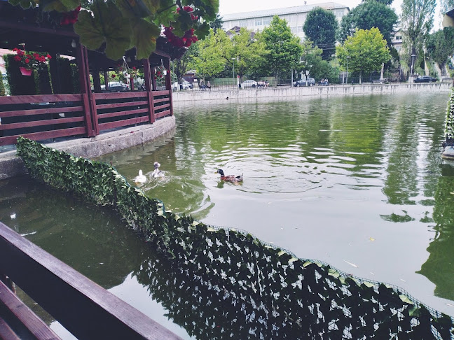 Comentarii opinii despre New Lac