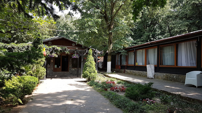 Comentarii opinii despre Casa Pustnicu