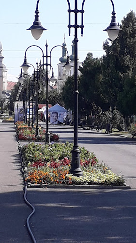 540000, Piața Trandafirilor 36-38, Târgu Mureș